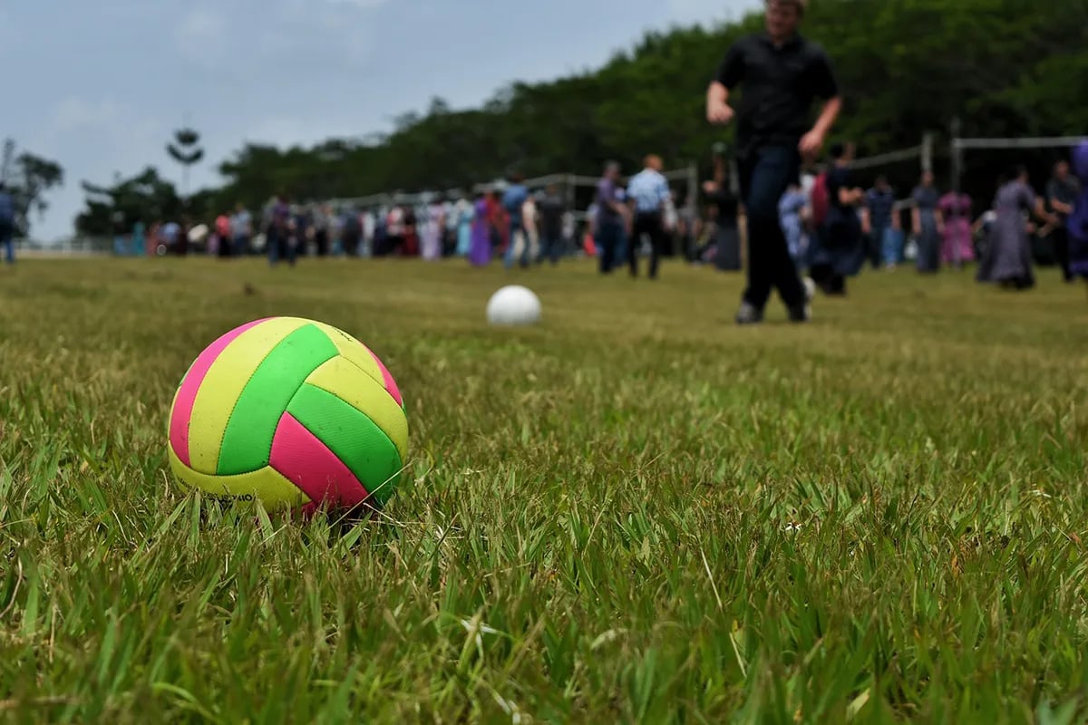 colorful volleyball in grass