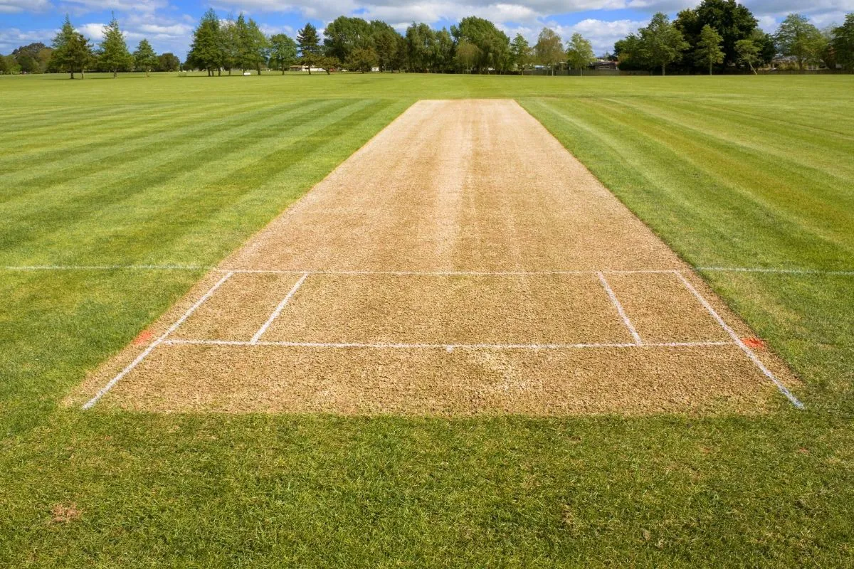 cricket pitch