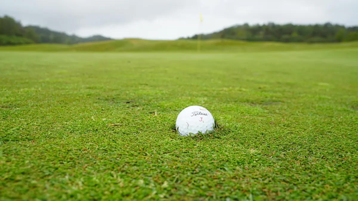 closeup of golf ball on grass creating a divot